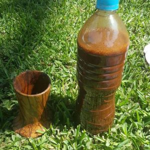 ayahuasca retreat near me